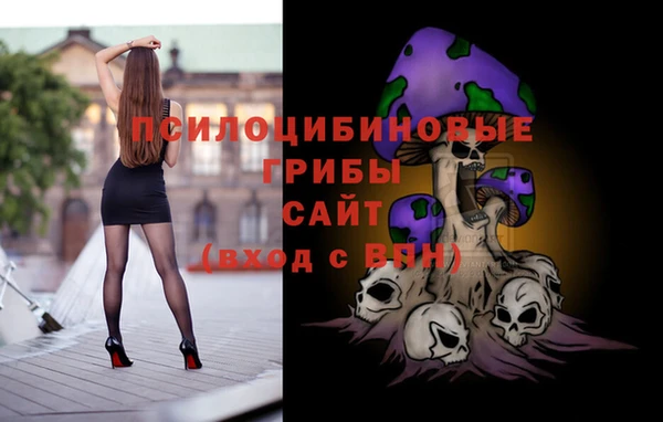 хмурый Пересвет