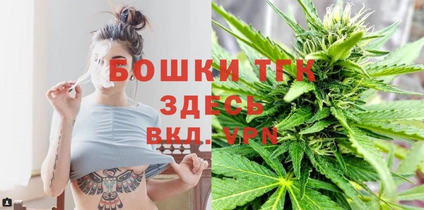 прущая мука Арсеньев