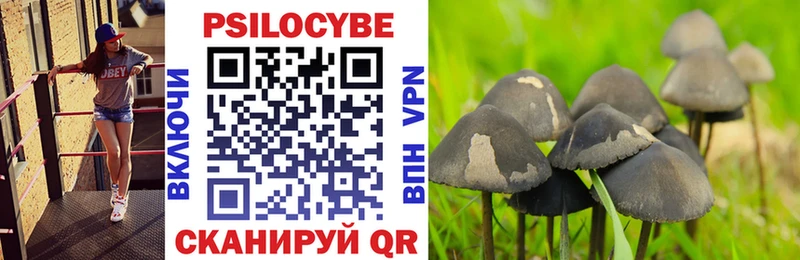 дарнет шоп  Артёмовский  Галлюциногенные грибы мицелий 